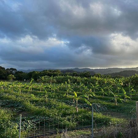 North Shore Glamping Camping Laie, Oahu, Hawaii Bagian luar foto