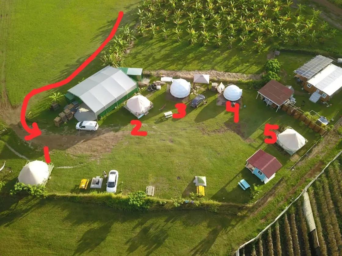 North Shore Glamping Camping Laie, Oahu, Hawaii Bagian luar foto